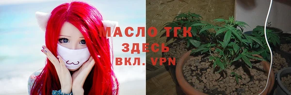 крисы Верея