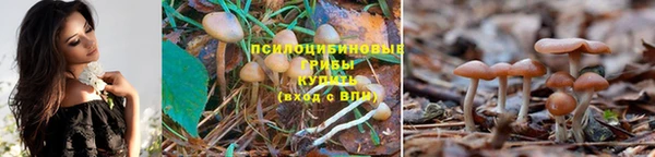 бутират Верхний Тагил