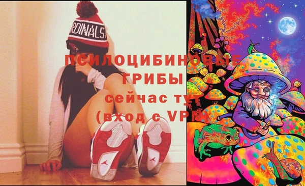 крисы Верея